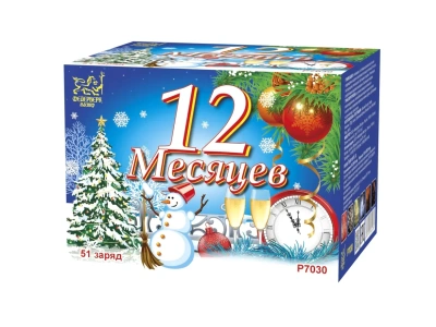 12 Месяцев Фейерверк купить в Ростове-на-Дону | rostov-na-donu.salutsklad.ru