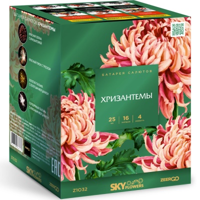 Хризантемы Фейерверк купить в Ростове-на-Дону | rostov-na-donu.salutsklad.ru